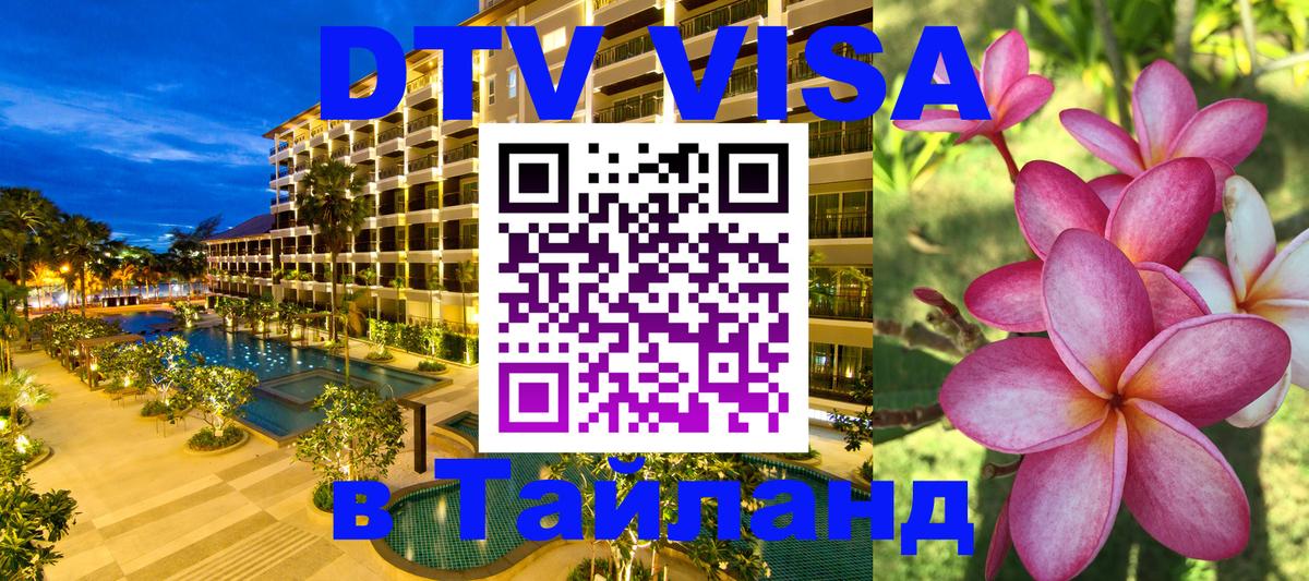 Сколько стоит DTV виза — актуальные цены, оформление даже без документов - 19.11.2025 